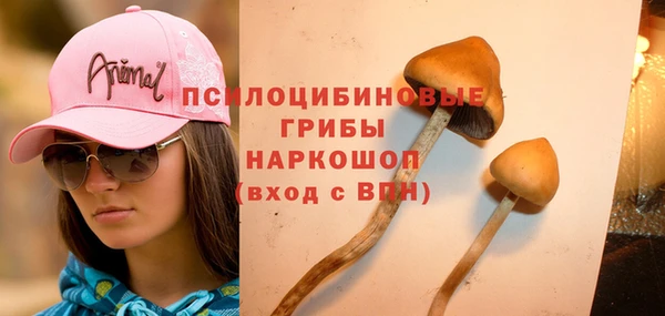 MESCALINE Ельня