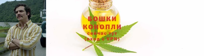apvp Елизово