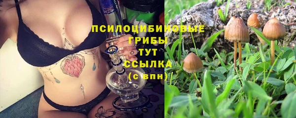 apvp Елизово